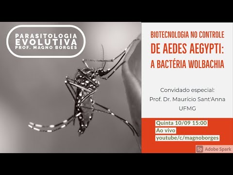 Vídeo: Infecção Por Wolbachia Em Populações Argentinas De Anastrepha Fraterculus Sp1: Evidência Preliminar De Distorção Da Razão Sexual Por Uma Das Duas Cepas