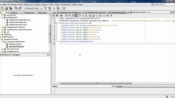 HIBERNATE NETBEANS