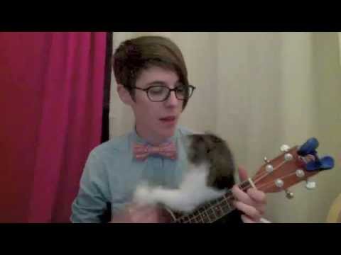 Nerdy Love Song with Added Kitten Bonus!