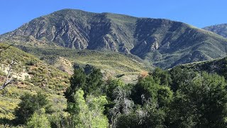 Sespe Wilderness