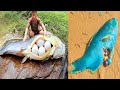 Catching Seafood 🦀🐙 ASMR Relaxing (Catch Shark , Catch Fish ,Deep Sea Monster ) - Tik Tok #239