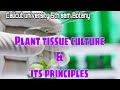 Calicut university| 5th sem| Botany| Tissue Culture| Plant Tissue culture & its principles| kH