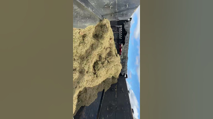Aeration, dethatching, and overseeding with our Toro Grandstand Multiforce & Z Rich Z Plug aerator!