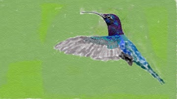 Nokia Lumia 730 with Windows 10 Mobile Build 10549