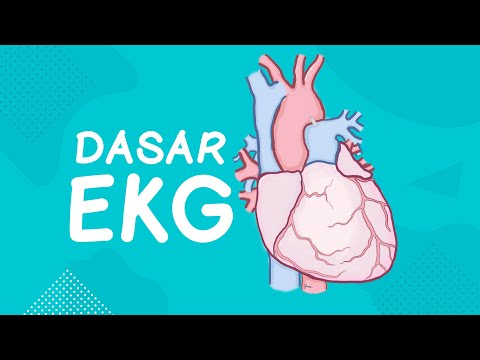 Video: Perbedaan Antara EKG Dan Ekokardiogram