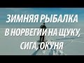 ЛОВЛЯ ОКУНЯ, ЩУКИ, СИГА НА МОРМЫШКУ. ПОДЛЕДНАЯ ЗИМНЯЯ РЫБАЛКА В НОРВЕГИИ