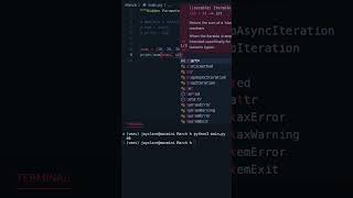Celebrity Python 3 |  3 Must Know Hidden Parameters! #coding Wealth