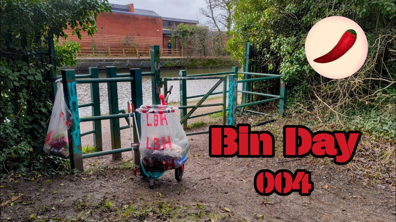 BIN DAY! 🗑️ |  Litter picking ep.226