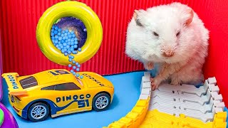The Best Hamster Challenges 😱 - Hamster Prison Maze Escape🛑Live Stream #2