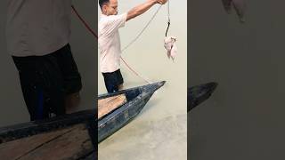 The Fish Attacked the Chicken Instntly! #fishing #fishinglife #short #bait #unique