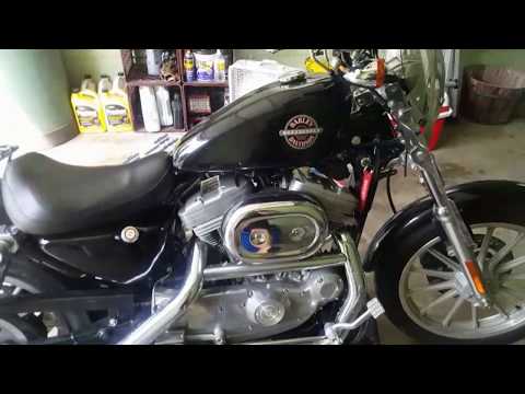 HD Sportster Oil