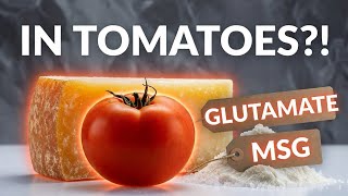 The MSG Controversy: What Science Really Says About This Common Food Additive