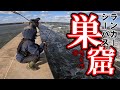2本連続ランカーシーバスを