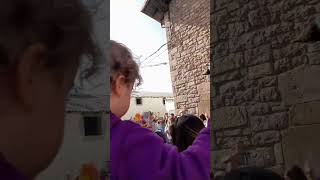 Carnaval de Lanz, Navarra España