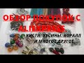 ОБЗОР ПОКУПОК С AliExpress || КИСТИ, БУСИНЫ, КОРАЛЛ И МНОГОЕ ДРУГОЕ