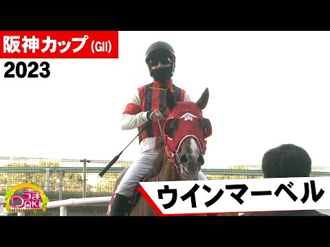 2023年 阪神カップ（GⅡ）ウインマーベル 重賞2勝目！！ 松山弘平騎手【うまＤＯＫＩ】