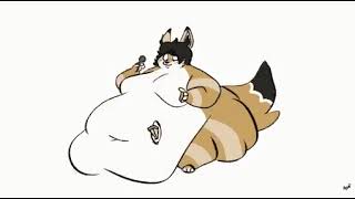Fat furry cake weight gain