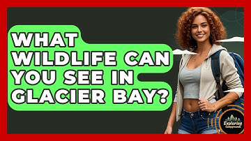 What Wildlife Can You See In Glacier Bay? - Exploring Campgrounds