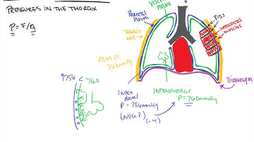 Mechanics of Breathing 1 Pressures
