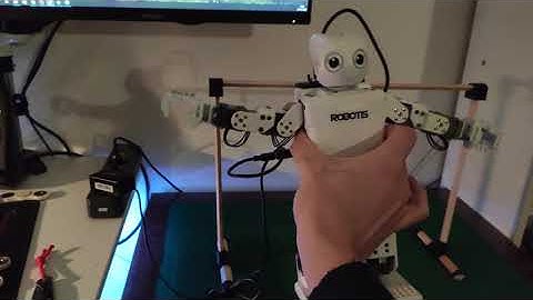 Robotis Mini ROS:  Basic IMU demo