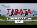 Tabata | 4-Minute Fat Burning Exercise | Burn Fat at Home