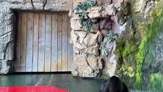 Juric Jungle Boat Ride