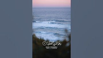 ماتيسر من سوره الملك 🤲#قران_كريم