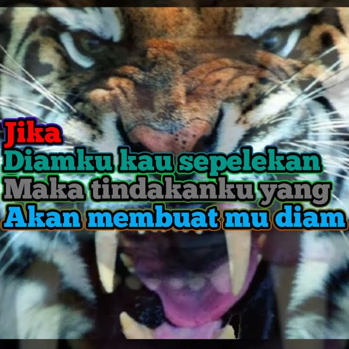 Story wa terbaru harimau