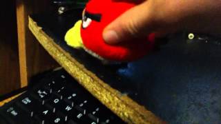 Angry Bird Skateboarding