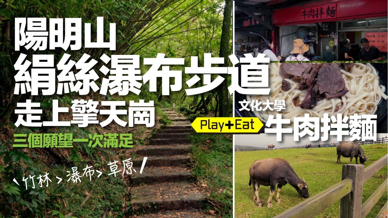 陽明山絹絲瀑布步道走上擎天崗 【吃】文化牛肉拌麵