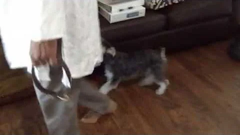 IMG 1046
