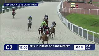 Vidéo de la course PMU PRIX L'HOSPICE DE CANTIMPRETT