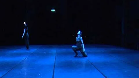 Mycelial Sketches Florence performance