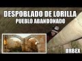 DESPOBLADO DE LORILLA | PUEBLOS ABANDONADOS | Desastrid Vlogs