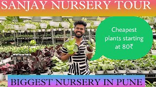 Sanjay nursery tour| Biggest nursery in Pune|Nursery vlog| in the woods|