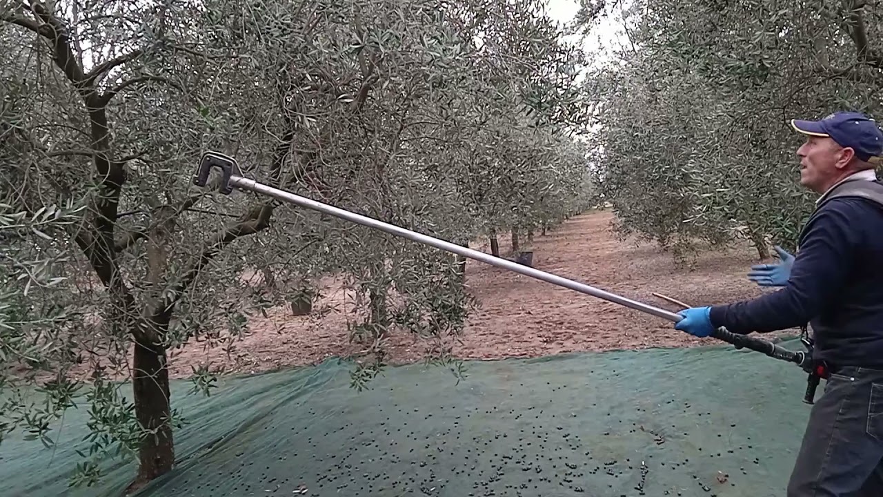 Il mio scuotitore a spalla CIFARELLI