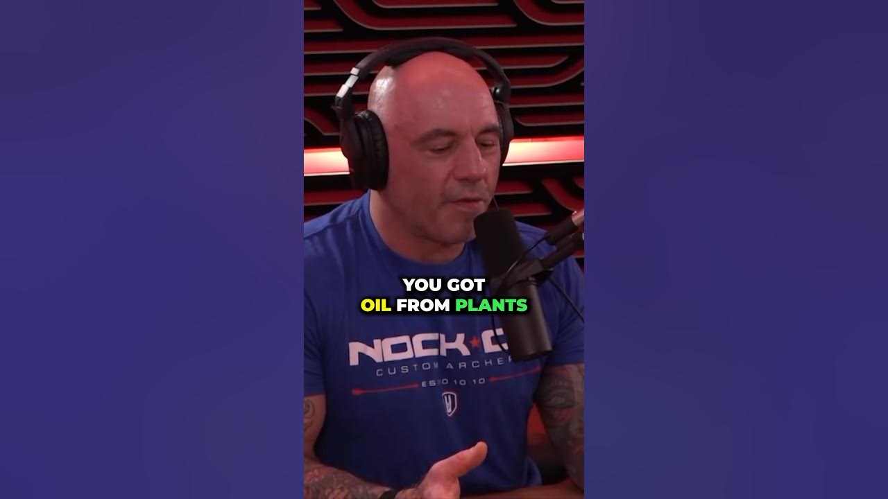 What Oils Should We Consume? Joe Rogan YouTube