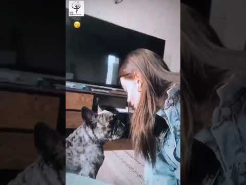 نيو ستوري هازال بينلي عبر 