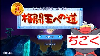 【カービィWiiDX】真格闘王するぞい