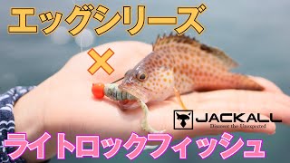 【海釣り/エッグシリーズ】HOW TO 五目釣り in 伊豆編 / 糸の結び方～釣り方まで紹介