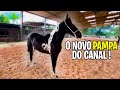 Compramos o novo cavalo de picada 