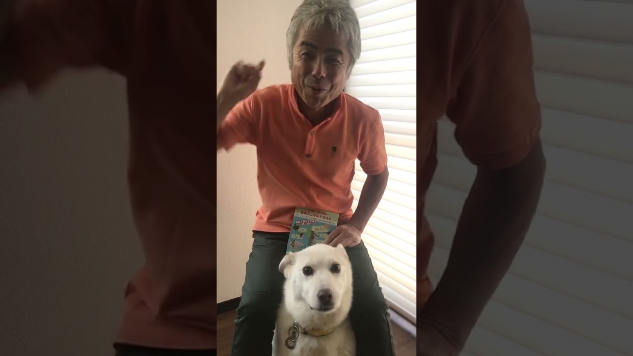 毎日をもっと幸せに ハッピーハウスの老犬介護ルームに屋根を作りたい 日本アニマルトラスト ハッピーハウス 21 04 22 公開 クラウドファンディング Readyfor レディーフォー 毎日をもっと幸せに ハッピーハウスの老犬介護ルームに屋根を作りたい 日本アニマルトラスト ハッピーハウス 21 04 22 公開 クラウドファンディング Readyfor レディーフォー