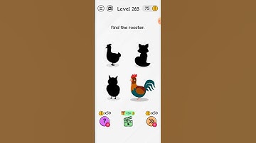 Braindom Level 263 By Rick Gaming