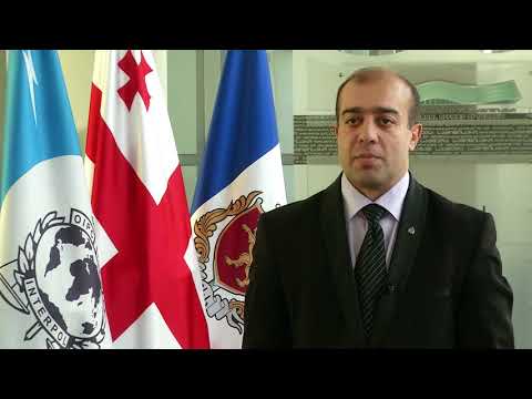 თბილისის ინტერპოლმა ვისბადენის ინტერპოლის მიერ ძებნილი პირი დააკავა