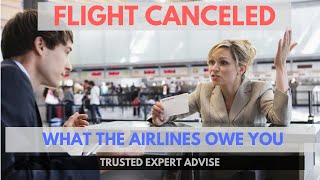 FLIGHT CANCELED! These are your rights for compensation