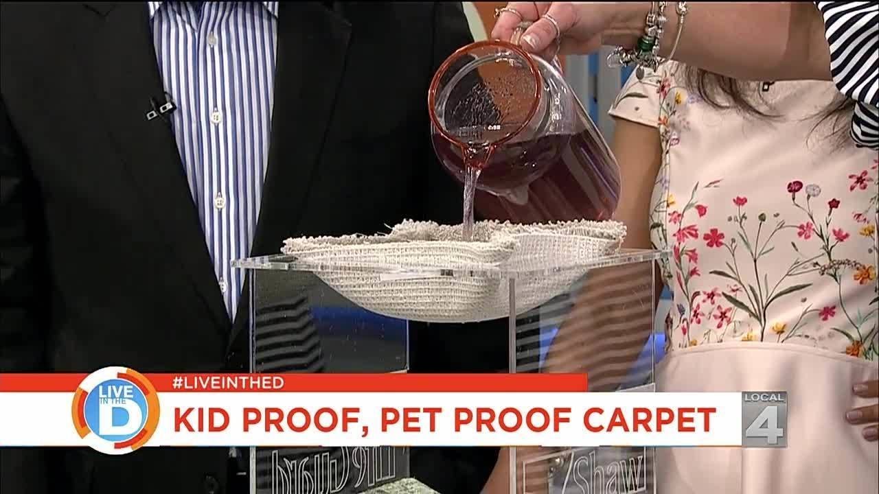 Kid Proof, Pet Proof Carpet YouTube