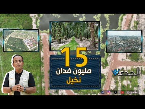 ١٥ مليون فدان مزروعة بنخيل الزيت في ماليزيا وصادراتها ٢٢ مليار دولار