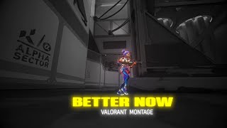 Valorant X Better Now || Valorant Montage || BlaNk