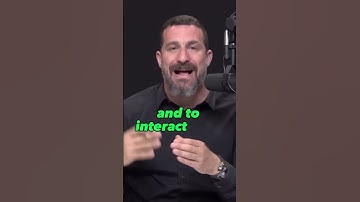 Andrew Huberman - How Psychedelics REWIRE your Brain