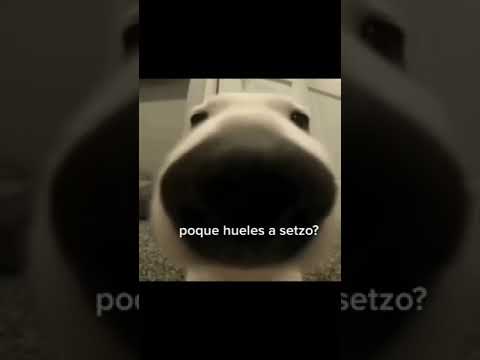poque hueles a